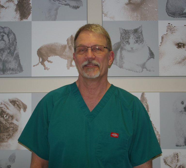 Our Team Edmonton Veterinarian The Spay Clinic